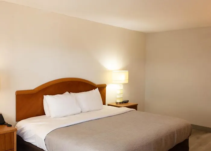 Quality & Havasu Hotel